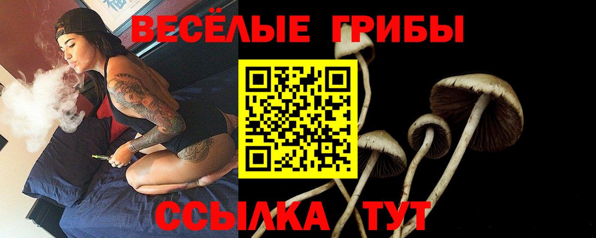 Галлюциногенные грибы Psilocybe Стрежевой