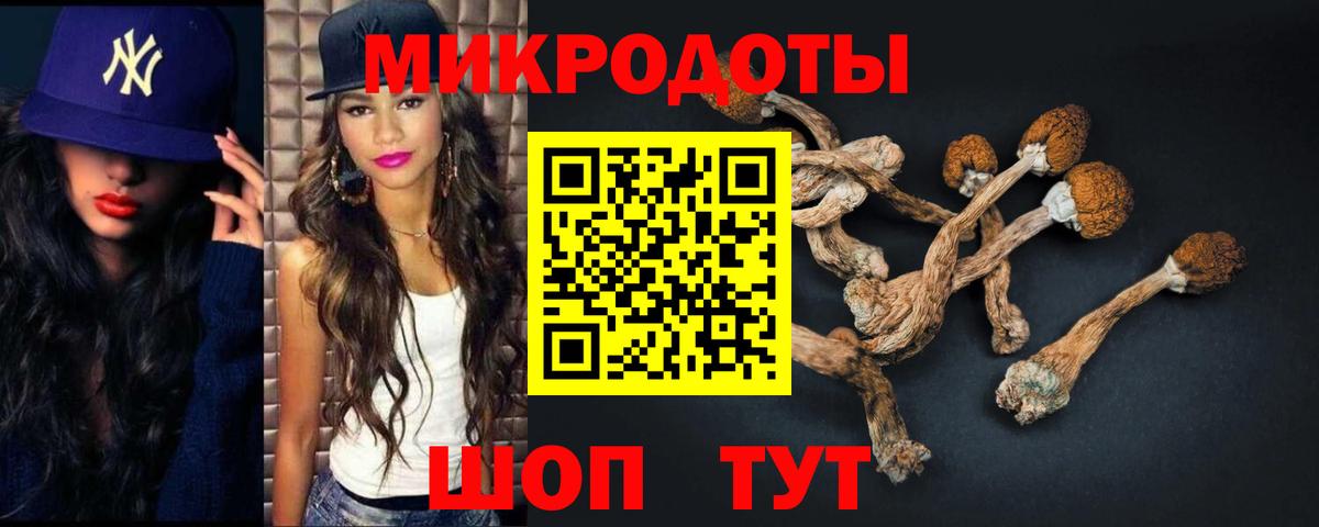 Галлюциногенные грибы MAGIC MUSHROOMS  Вход с VPN  Стрежевой 